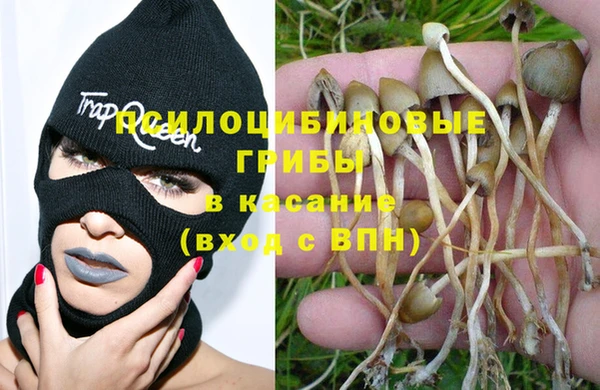2c-b Богданович