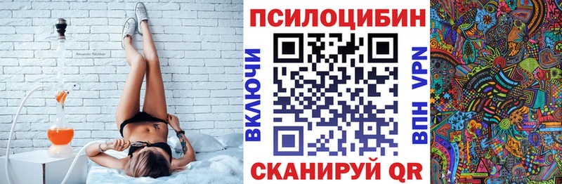 это как зайти  Бологое  Псилоцибиновые грибы GOLDEN TEACHER 
